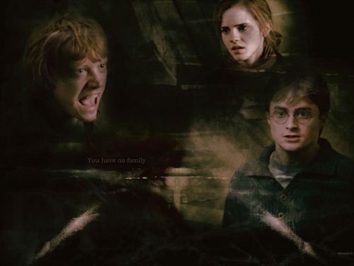  Harry,Ron and Hermione