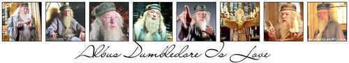  Hogwarts Professors is cinta