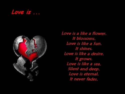 爱情 is ...