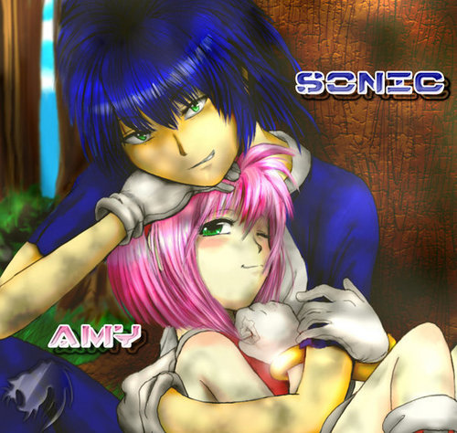  Sonic and Amy Humanized