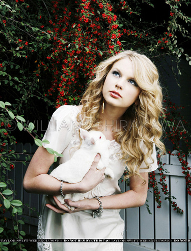  Taylor تیز رو, سوئفٹ - Photoshoot #058: Entertainment Weekly (2008)