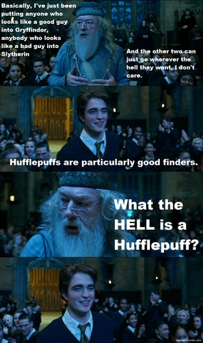 What the hell is a hufflepuff?