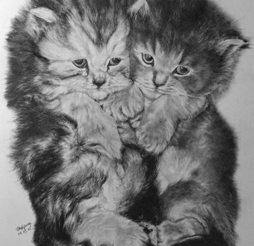  Adorable kitties