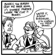  BONES（ボーンズ）-骨は語る- ファン art