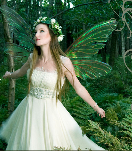  smeraldo Fairy