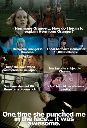  How Do I Begin To Explain Hermione Granger?
