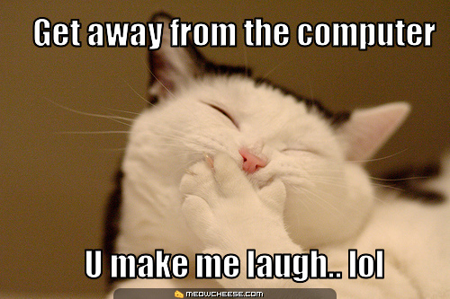  lol! funny cat!
