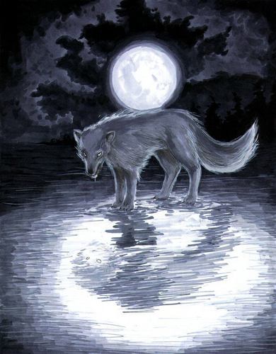  serigala, wolf art