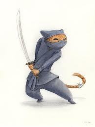 Cats are ninjas