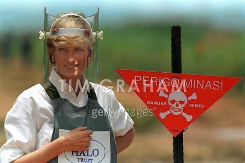  Diana Visor Mine Sign