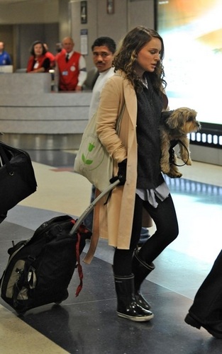  Natalie arrives at LAX Airport