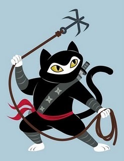  Ninja Kity!