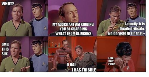  The Trouble with Tribbles