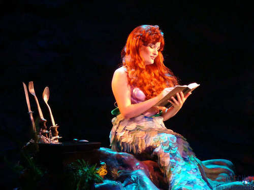  Voyage of the Little Mermaid