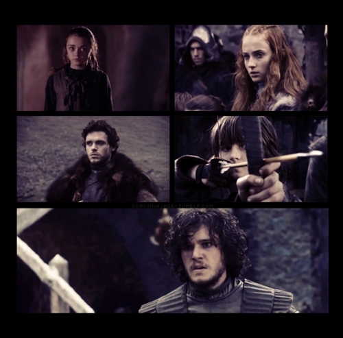  Arya, Sansa, Robb, & Bran Stark & Jon Snow
