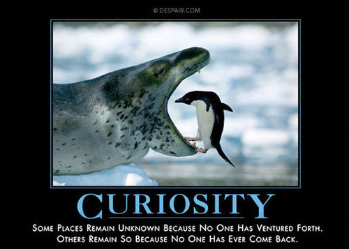  Curiosity
