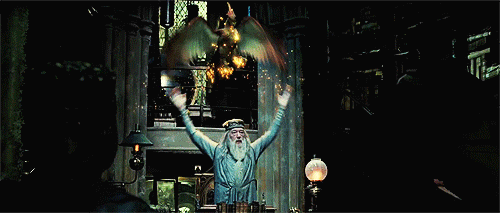  Dumbledore's got style