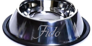  Fido bowl made Von Rose for Jackob (who read the book, would understand) LOL