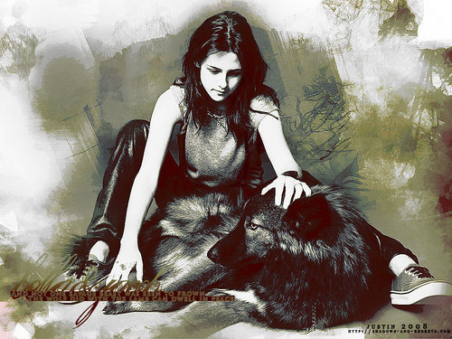 bella and a wolf