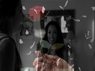 'rain and roses' simple and elegant images of TVD 