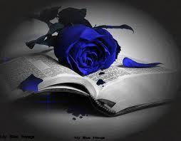  Blue rose 2