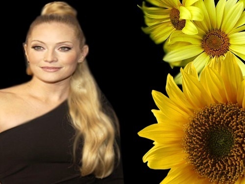 Emily Procter-Sunflowers