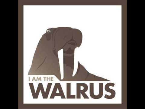  I Am Teh Walrus