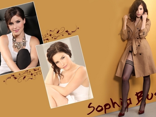  Lovely Sophia achtergrond ☆