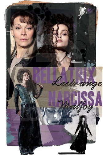  Narcissa & Bellatrix DH