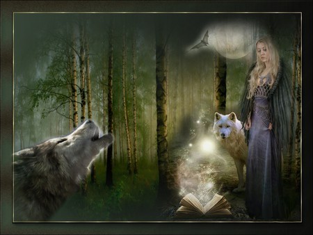 Spirit of the Wolf - Teddybear64 Photo (18326756) - Fanpop