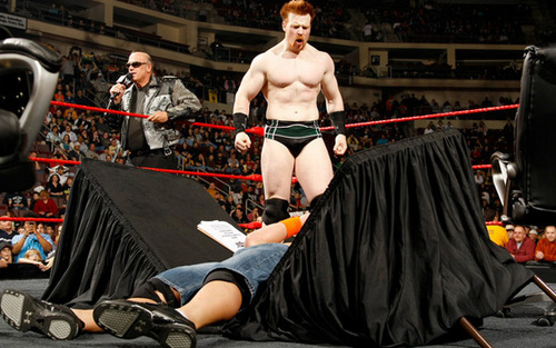  WWE Champion - Sheamus