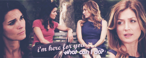  rizzoli&isles banners by campi
