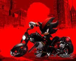  shadow the hedgehog at the bake