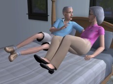  the sims 2