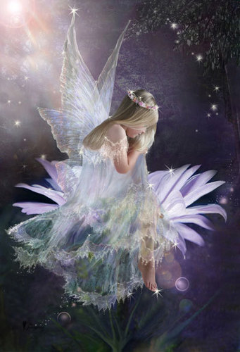  Dawn Fairy