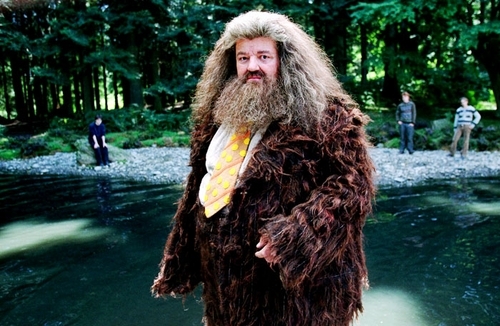  Hagrid :))
