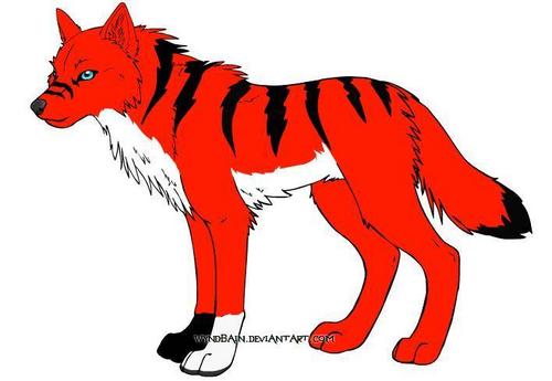  Kibagrl's warrior Wildfire wolfform