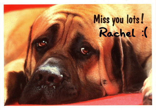  Miss anda lots Rachel :(