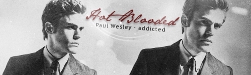  Paul Wesley Banner ♥