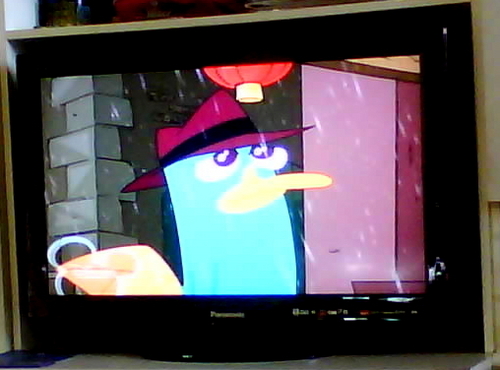  Perry on my TV :D