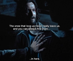 Quotes by Sirius <3 