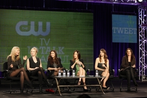  2011 CW Winter TCA Panel - 14.01.2011