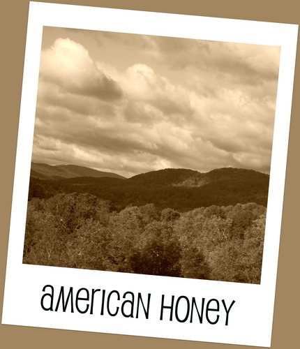  American Honey