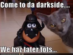  Funny kitteh with tater tots... :P