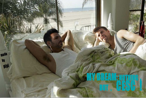  Geri and Cesc in a common bed!
