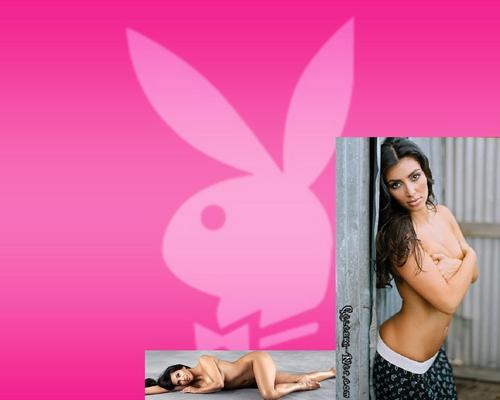  Kimmy In ピンク Bunny