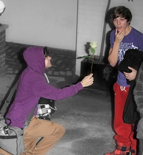 Lourry (Bromance) How Sweet Is Harry By Giving Louis A White Rose (I Wudn't Refuse) 100% Real :) x