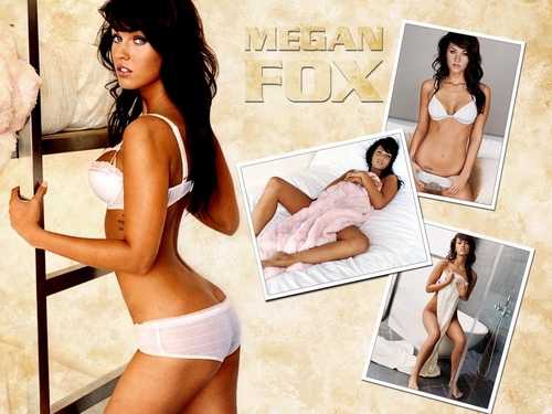  Megan rubah, fox wallpaper