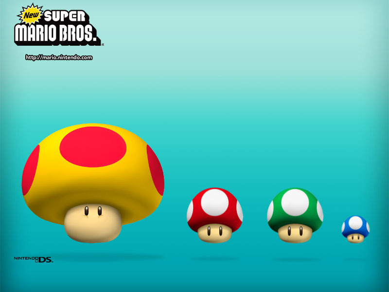 New Super Mario Bros. DS