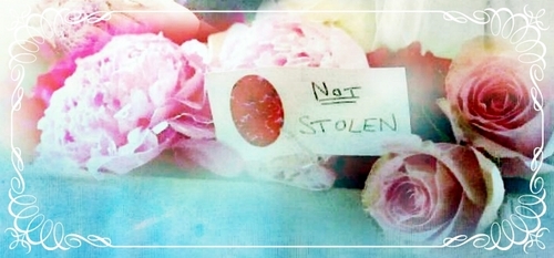 Not stolen flowers